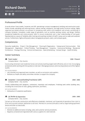 Professional CV writing service example - Standard Example 1